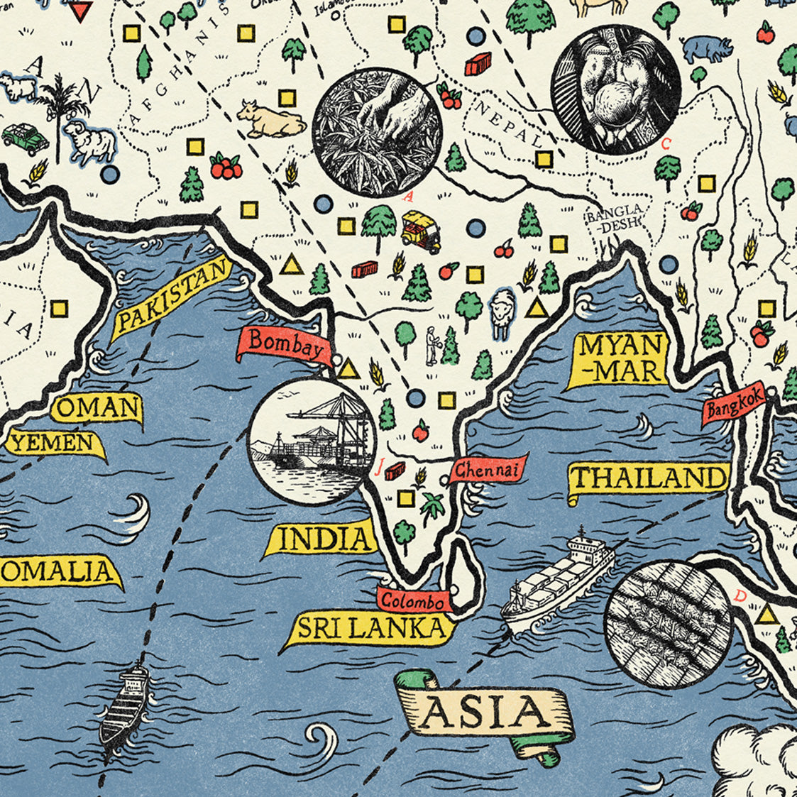 Where Our Cannabis Comes From